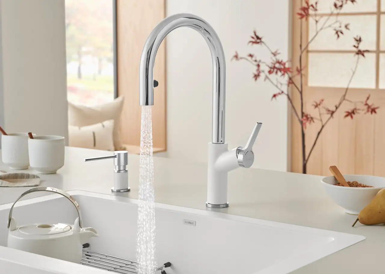 BLANCO Urbena Chrome/White Single Handle Pull-down Kitchen Faucet - Springfield, IL